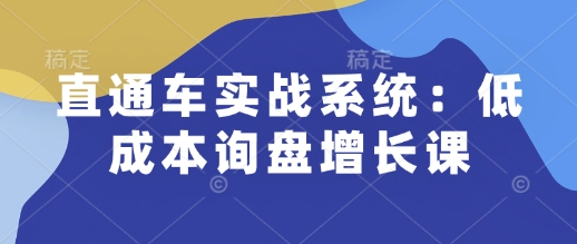 直通车实战系统：低成本询盘增长课，让个人通过技能实现升职加薪，让企业低成本获客，订单源源不断-网赚部落