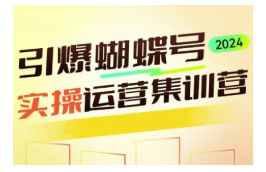 引爆蝴蝶号实操运营，助力你深度掌握蝴蝶号运营，实现高效实操，开启流量变现之路-网赚部落