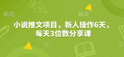 小说推文项目，新人操作6天，每天3位数分享课-网赚部落