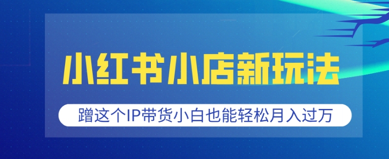 小红书小店新玩法，蹭这个IP带货，小白也能轻松月入过W【揭秘】-网赚部落