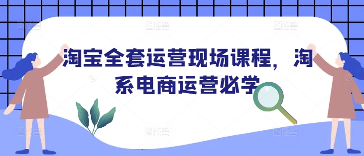 淘宝全套运营现场课程，淘系电商运营必学-网赚部落