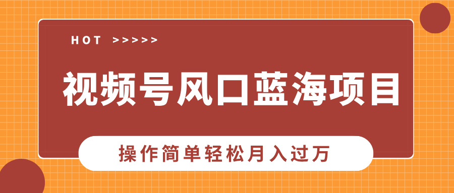 视频号风口蓝海项目，中老年人的流量密码，操作简单轻松月入过万-网赚部落