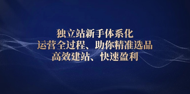 独立站新手体系化 运营全过程，助你精准选品、高效建站、快速盈利-网赚部落